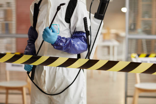 Professional Hoarding Cleanup technician working in Hallandale, FL
